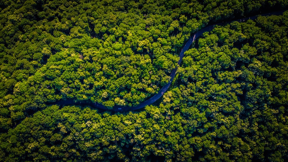 Biodiversidad colombiana